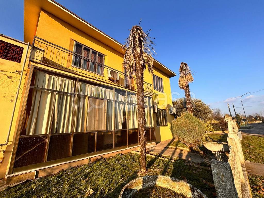 immagine annuncio 1 di 8