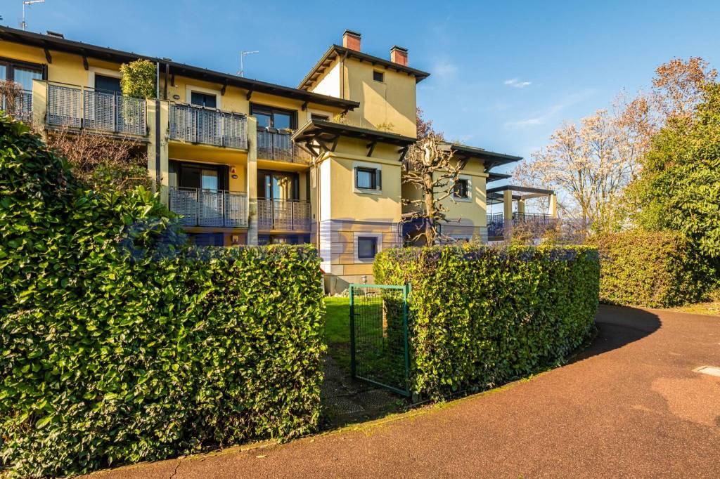 immagine annuncio 2 di 15