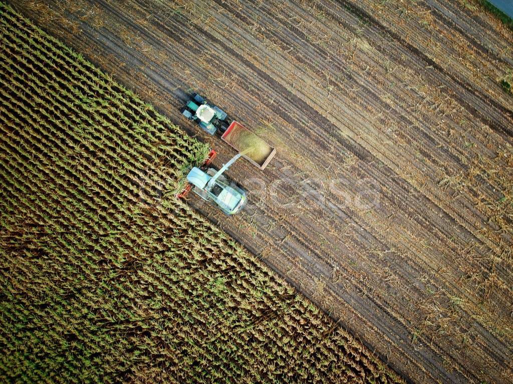 immagine annuncio 1 di 14