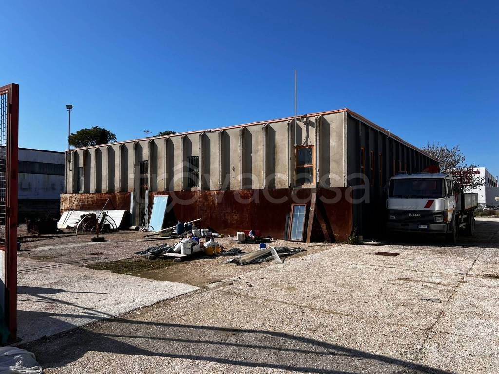 immagine annuncio 12 di 15