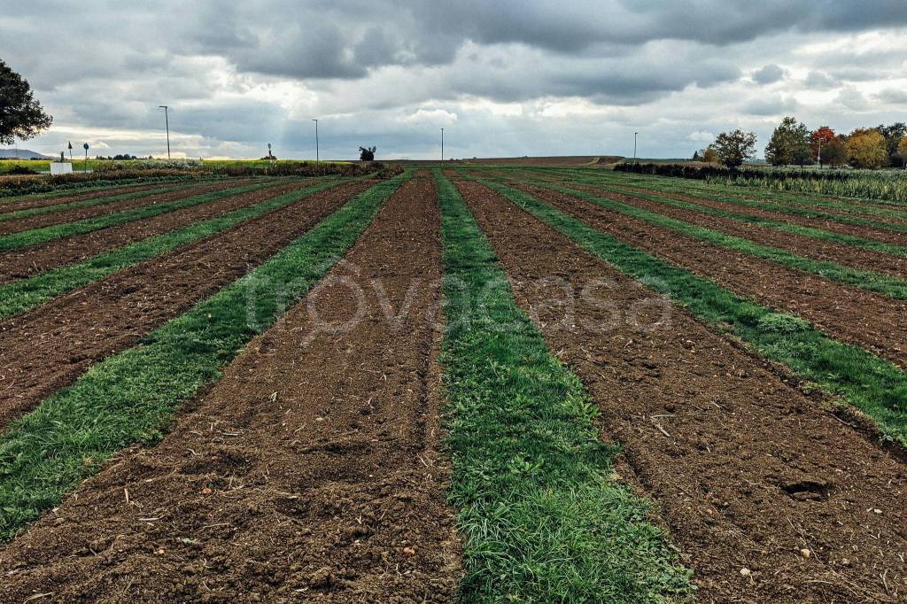 immagine annuncio 6 di 14