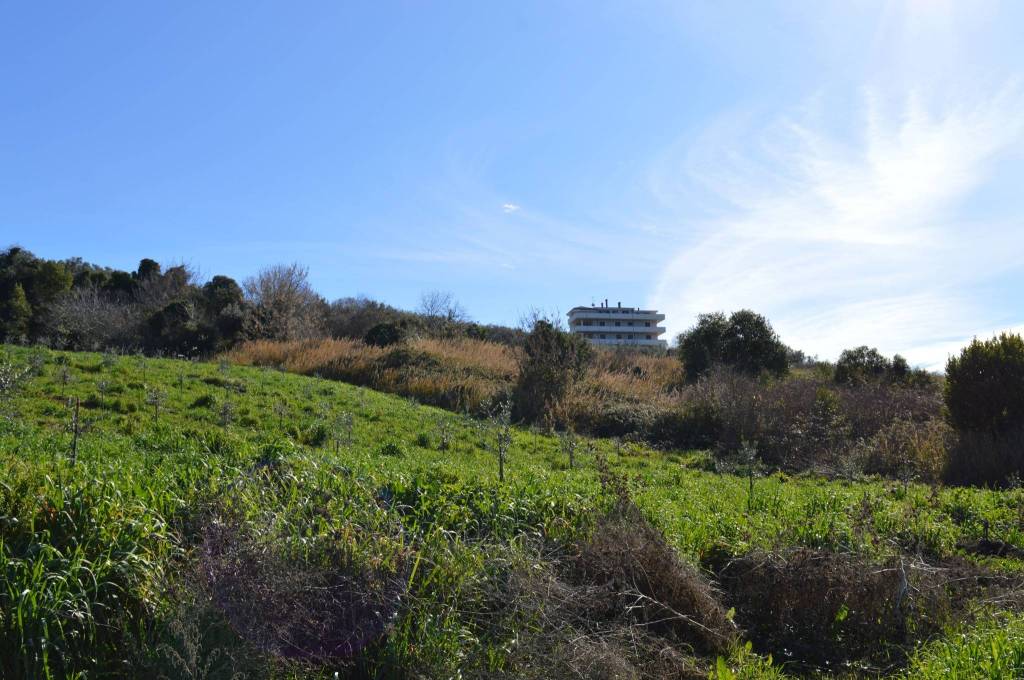 immagine annuncio 5 di 9