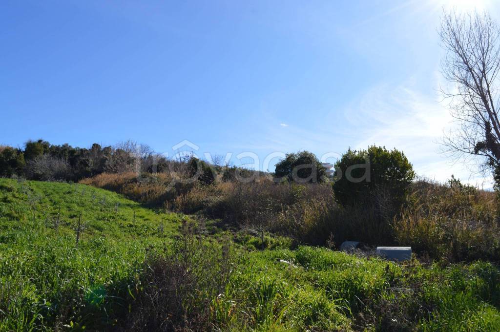 immagine annuncio 8 di 9