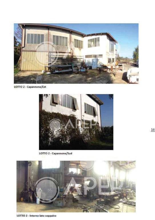 immagine annuncio 11 di 15