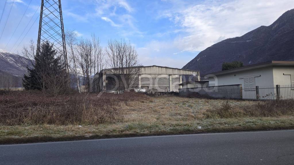 immagine annuncio 2 di 3