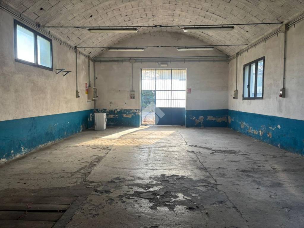 immagine annuncio 9 di 15