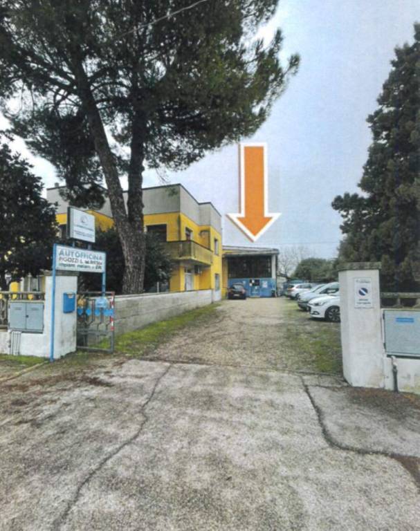 immagine annuncio 1 di 10