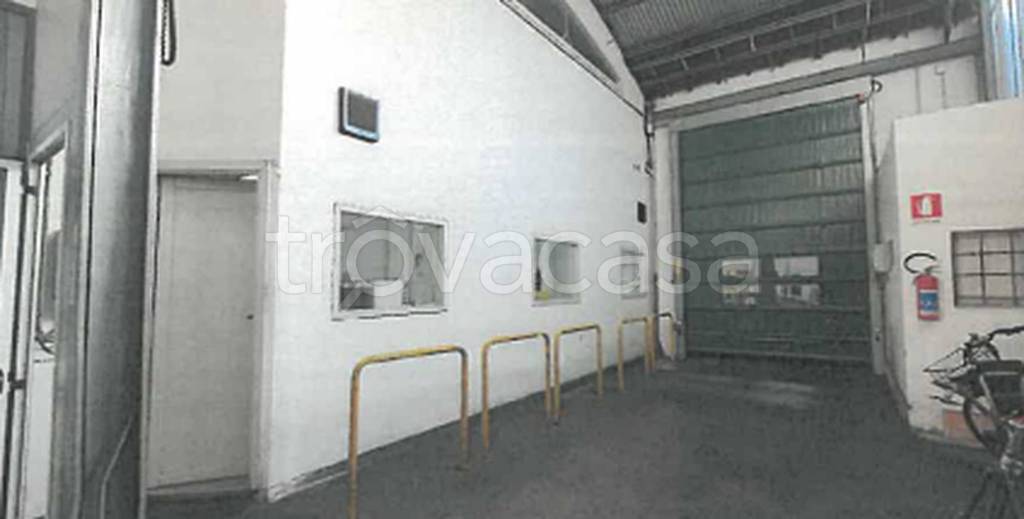 immagine annuncio 6 di 11