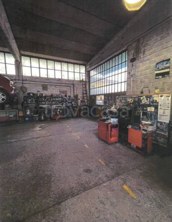 immagine annuncio 9 di 10