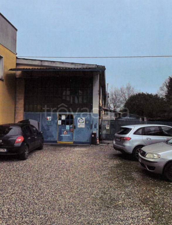 immagine annuncio 1 di 11