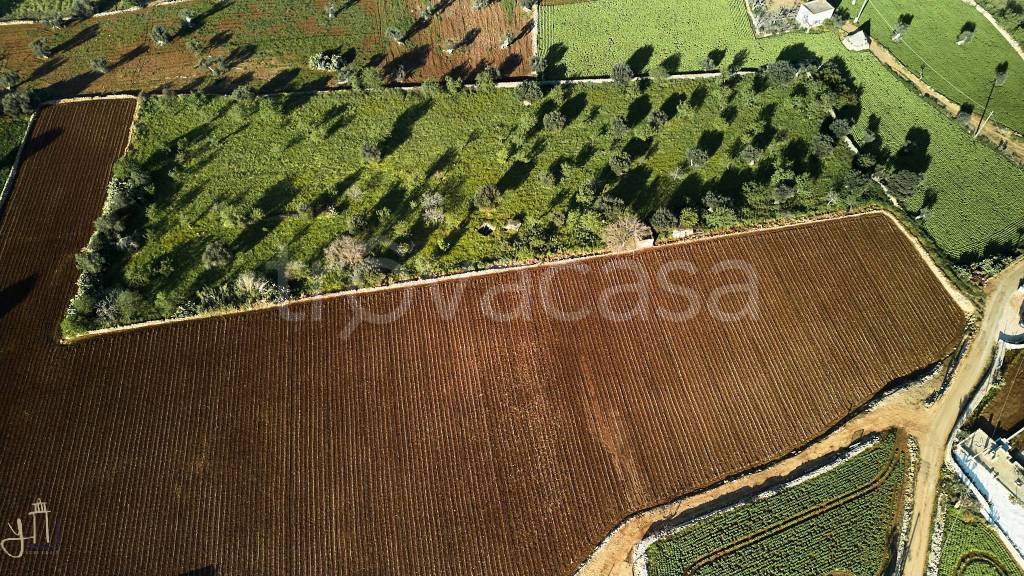 immagine annuncio 4 di 7