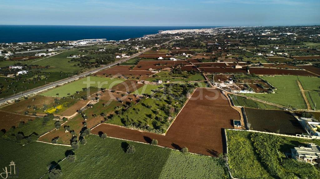 immagine annuncio 1 di 7