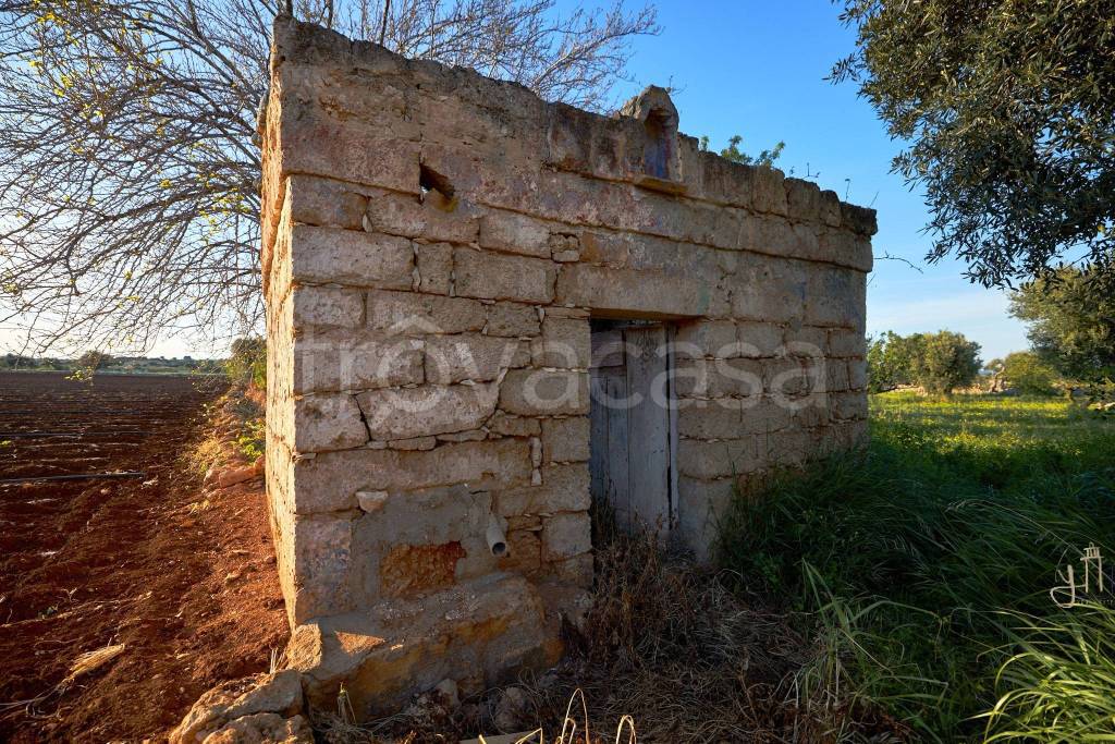 immagine annuncio 2 di 7