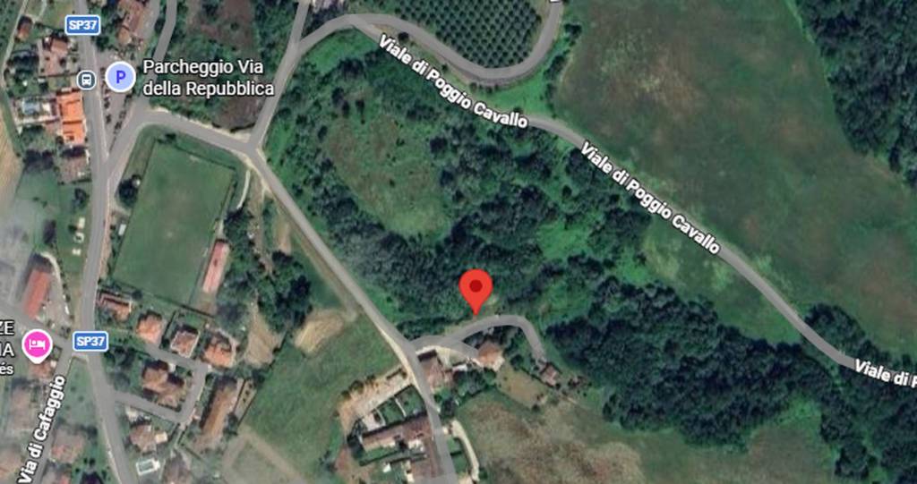 immagine annuncio 2 di 11