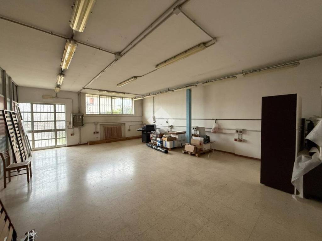 immagine annuncio 1 di 11