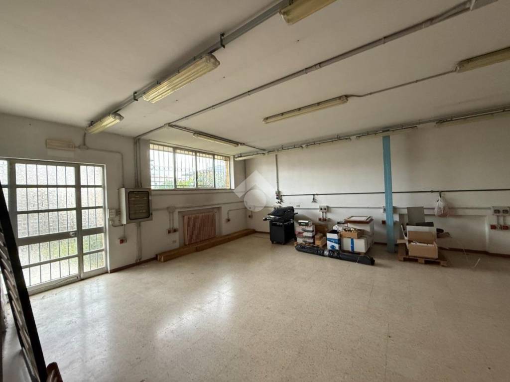 immagine annuncio 4 di 11