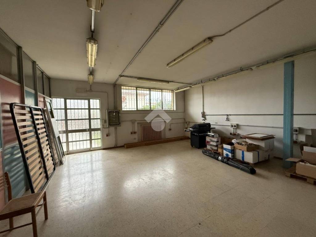 immagine annuncio 6 di 11