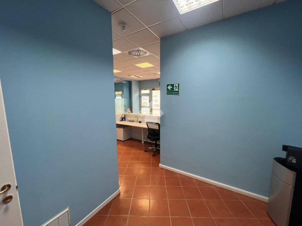 immagine annuncio 3 di 6