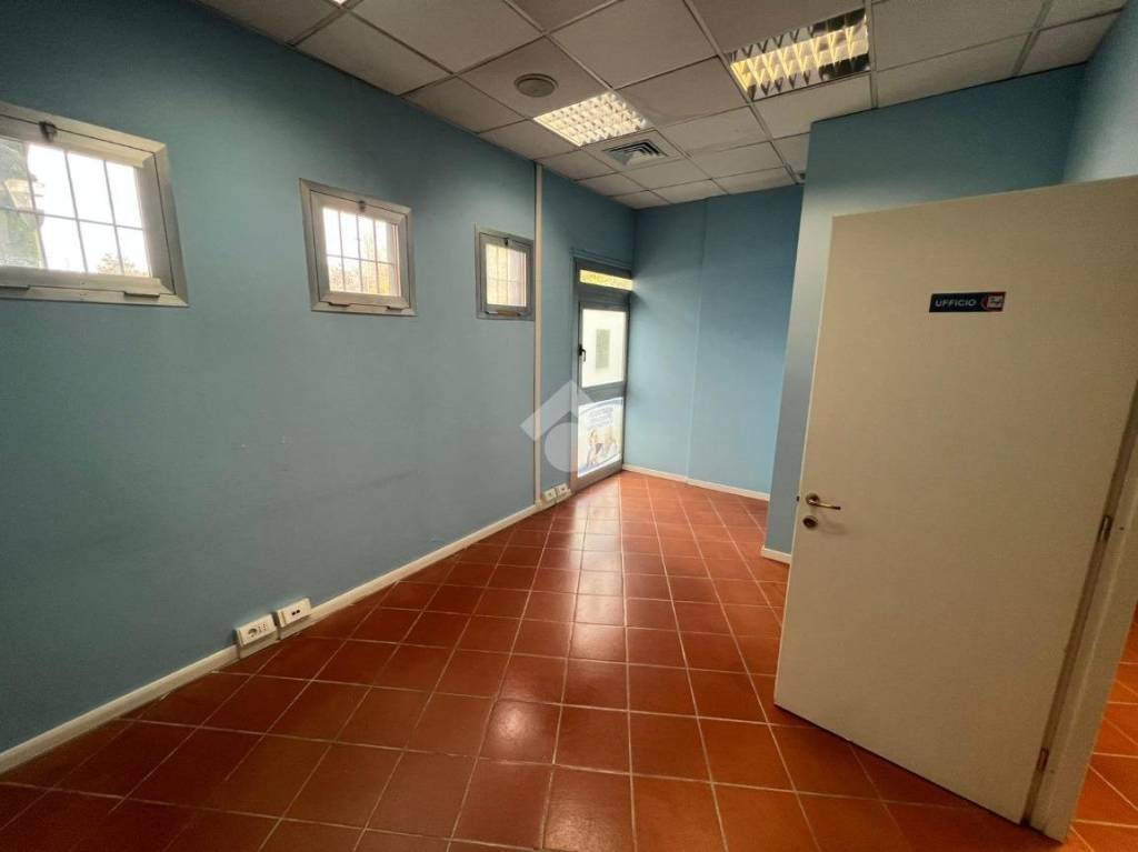 immagine annuncio 4 di 6