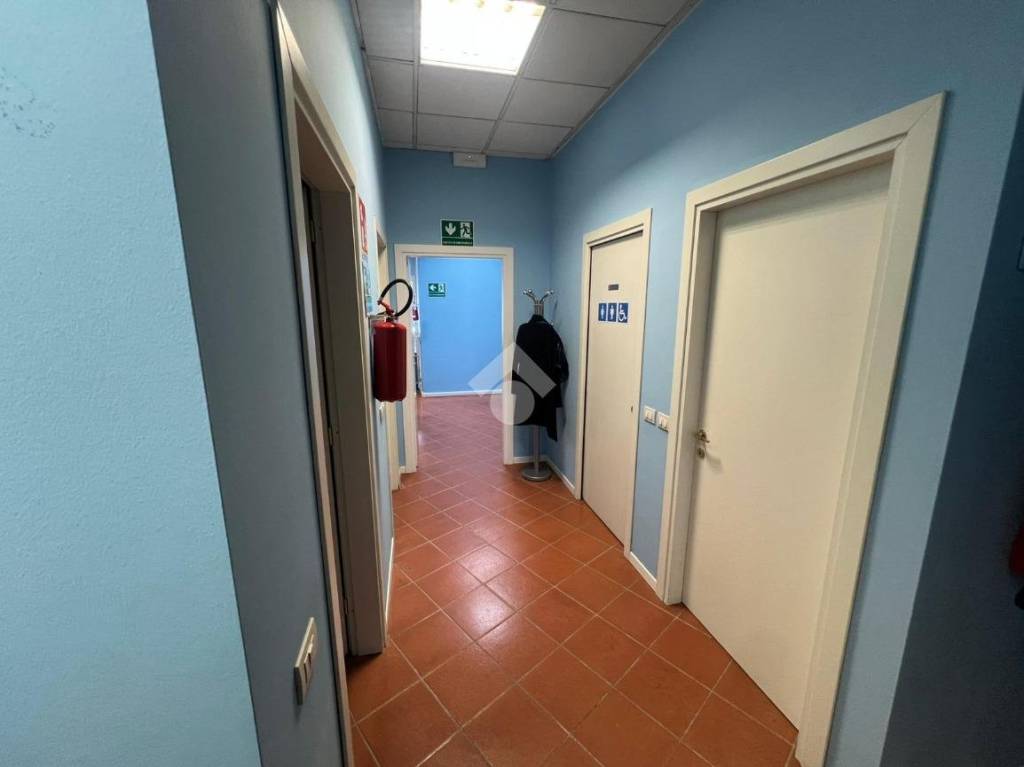 immagine annuncio 5 di 6