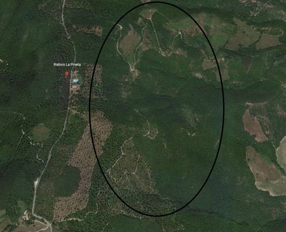 immagine annuncio 8 di 12