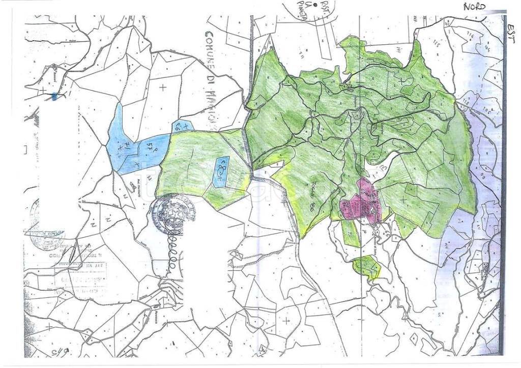 immagine annuncio 10 di 12