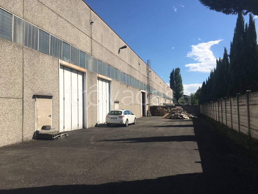 immagine annuncio 3 di 15