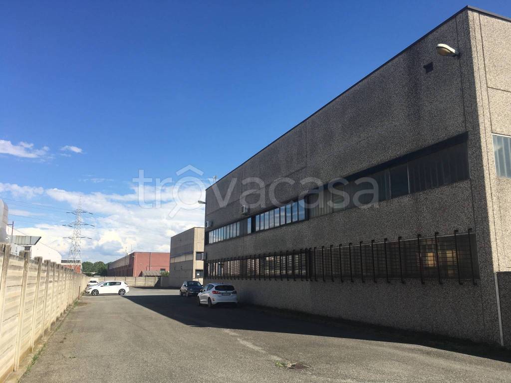 immagine annuncio 5 di 15