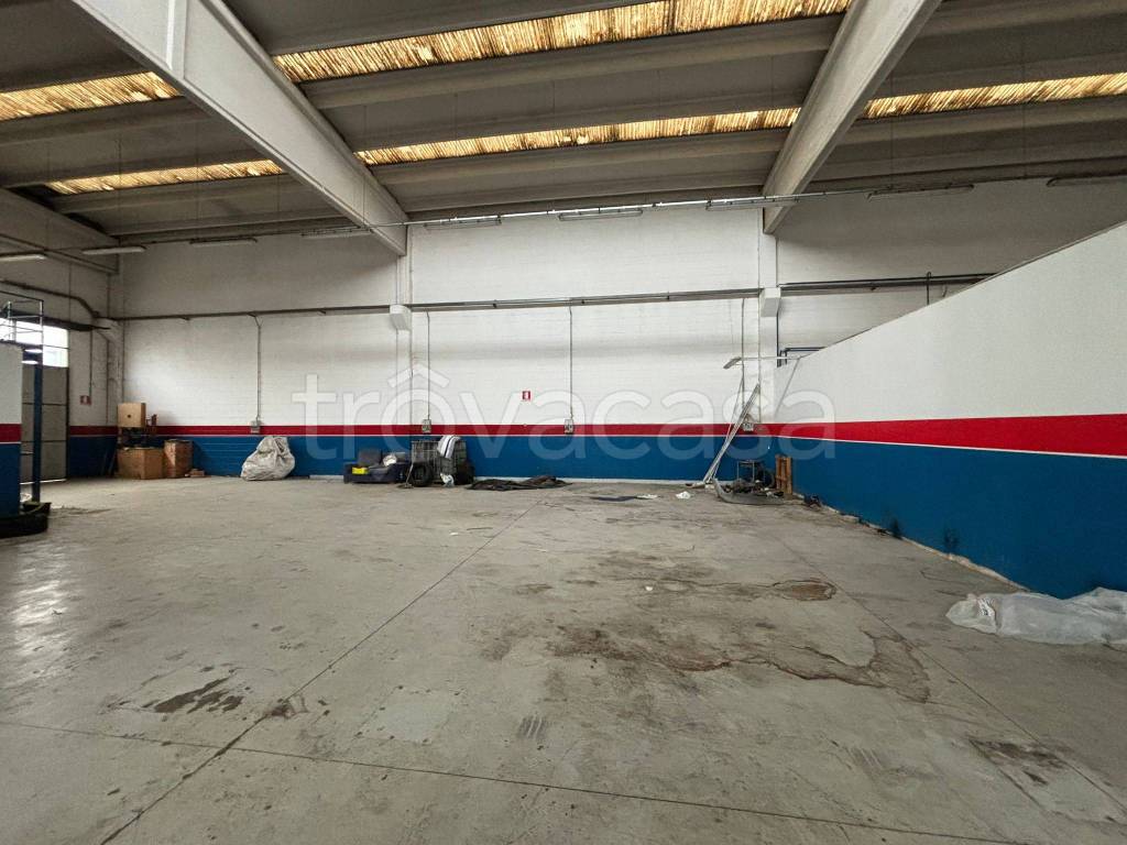 immagine annuncio 2 di 6