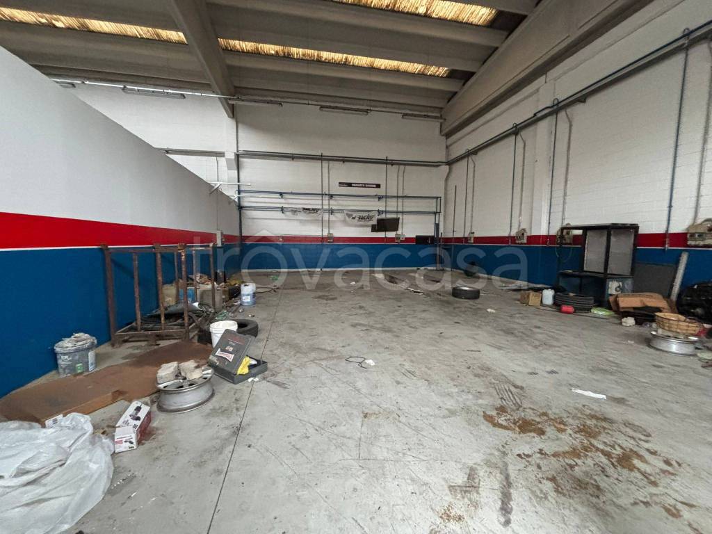 immagine annuncio 3 di 6