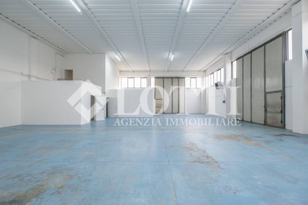 immagine annuncio 5 di 15