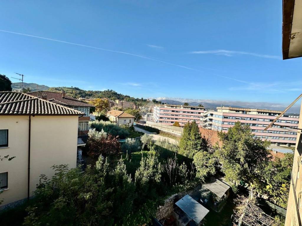 immagine annuncio 4 di 12