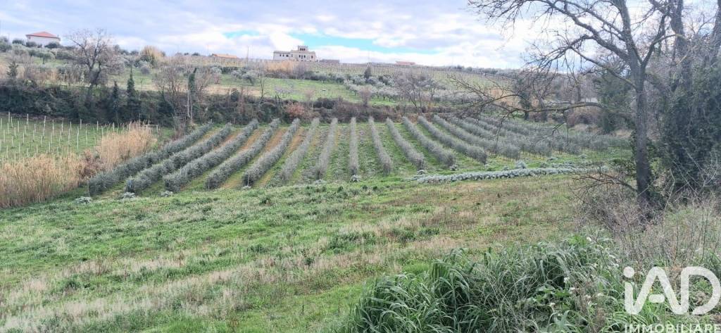 immagine annuncio 4 di 13