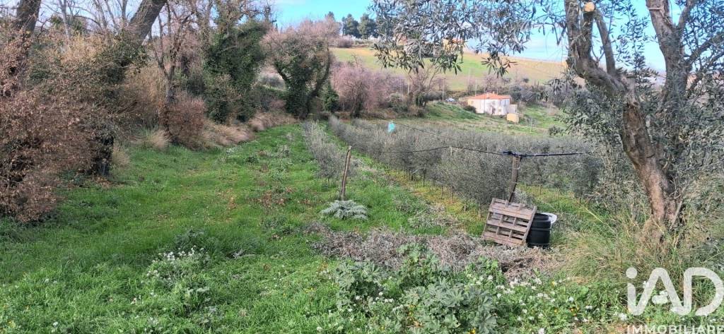 immagine annuncio 6 di 13