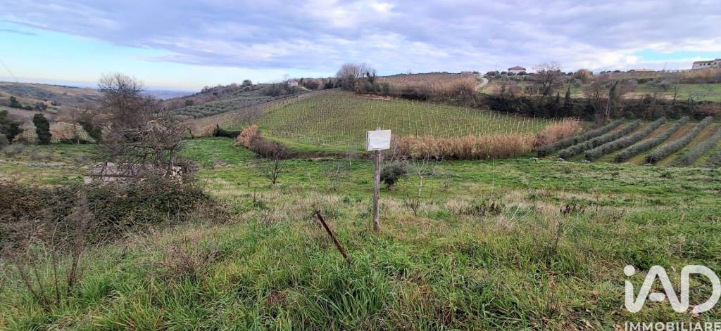 immagine annuncio 7 di 13