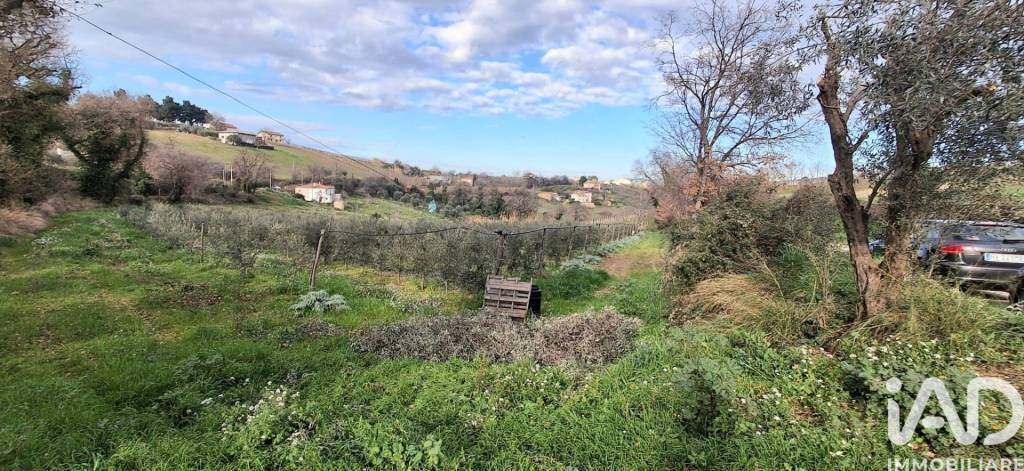 immagine annuncio 10 di 13