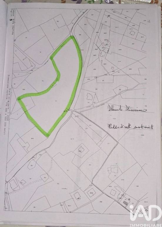 immagine annuncio 12 di 13