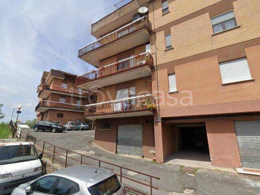 immagine annuncio 12 di 13