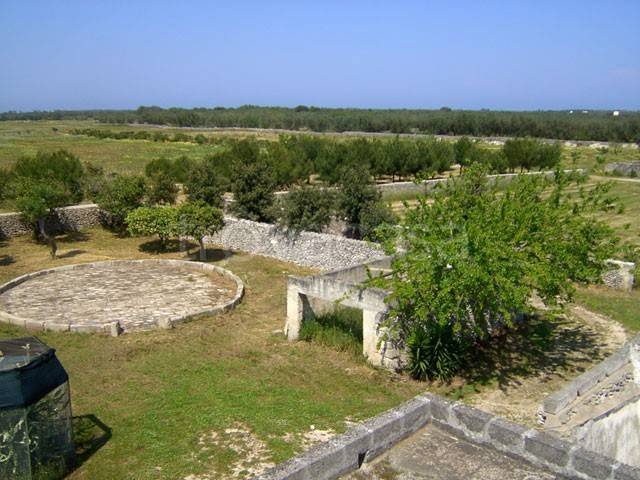 immagine annuncio 11 di 15