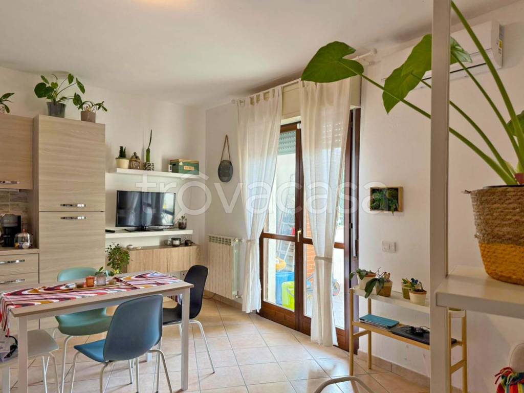 immagine annuncio 6 di 15