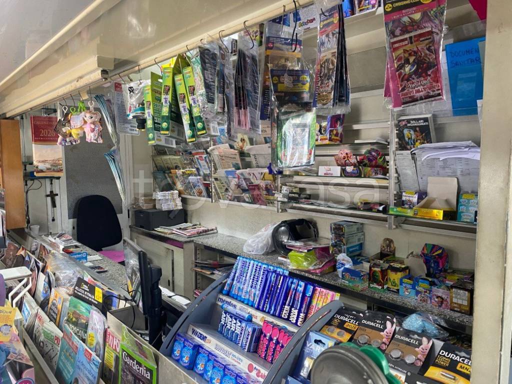 immagine annuncio 10 di 15