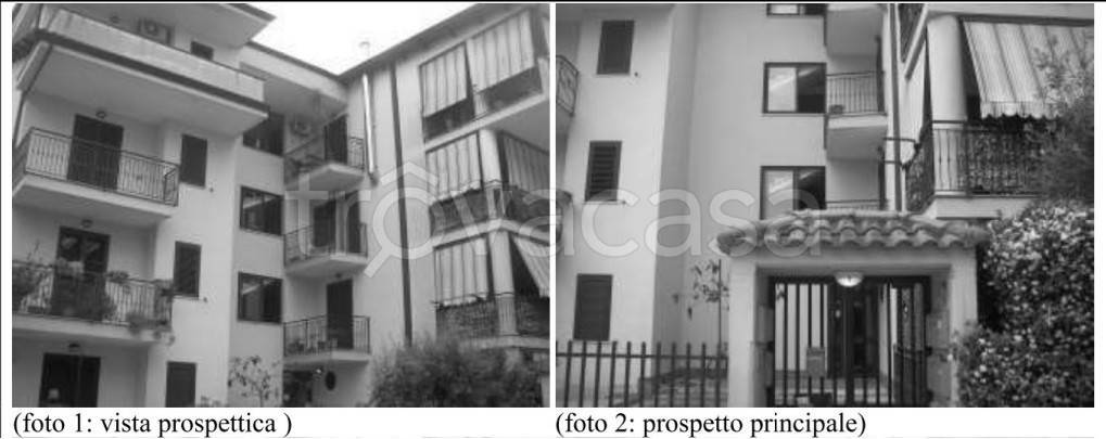 immagine annuncio 4 di 14