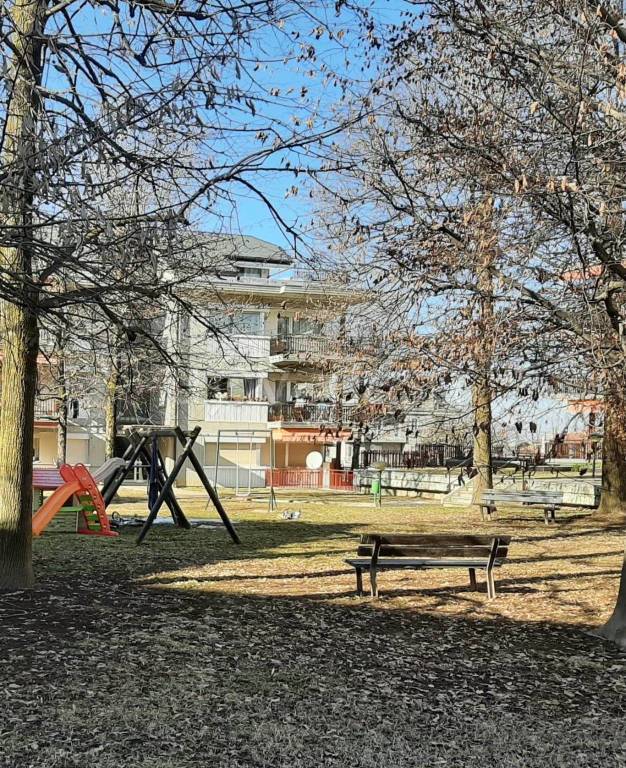 immagine annuncio 2 di 12