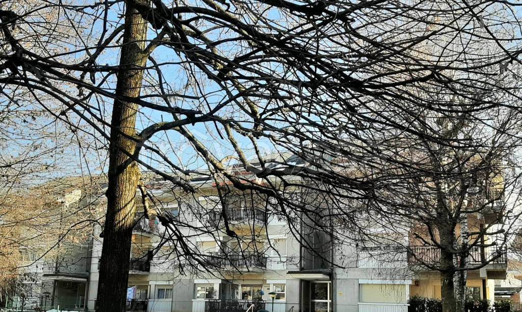 immagine annuncio 5 di 12