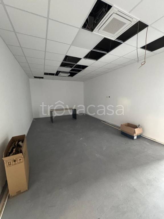 immagine annuncio 7 di 13