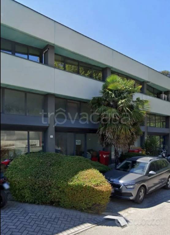 immagine annuncio 6 di 12