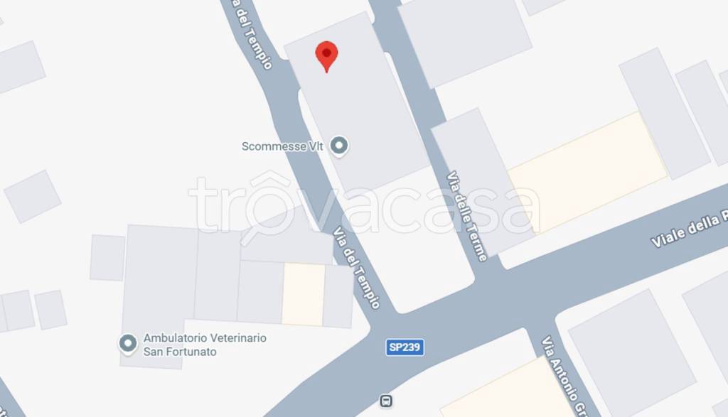 immagine annuncio 4 di 12