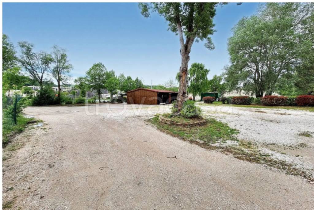 immagine annuncio 1 di 11