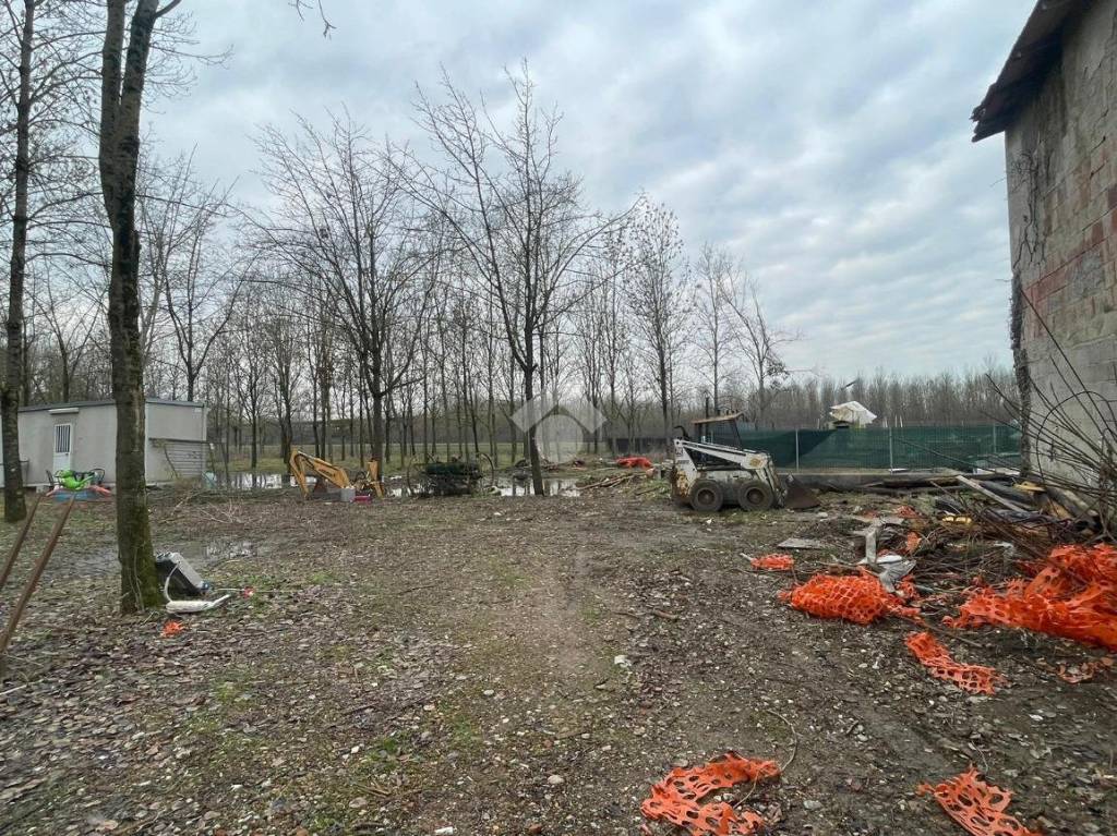 immagine annuncio 6 di 15