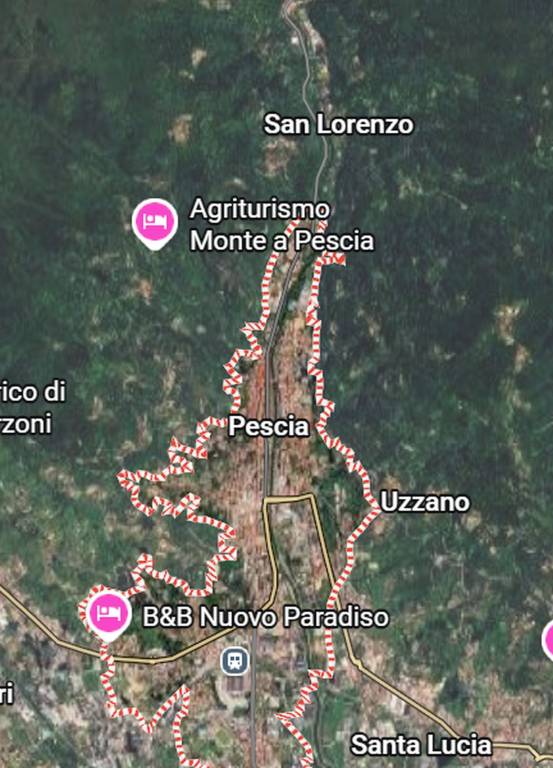 immagine annuncio 1 di 12